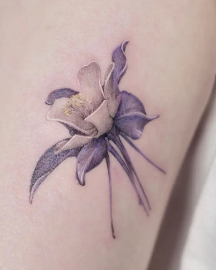 Flower, Nature