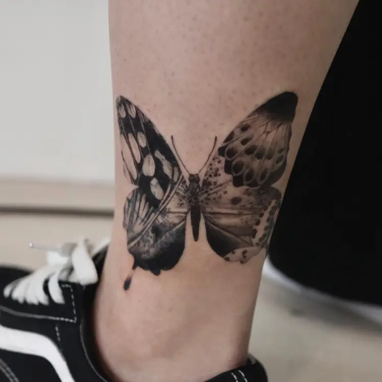 Animal, Nature