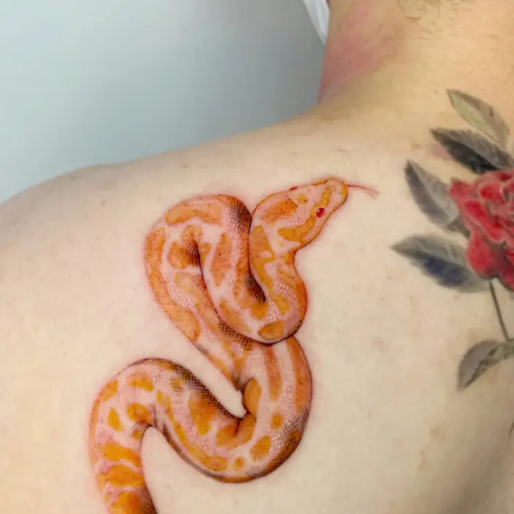 Snake