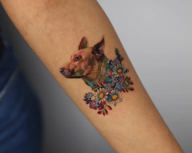 Animal