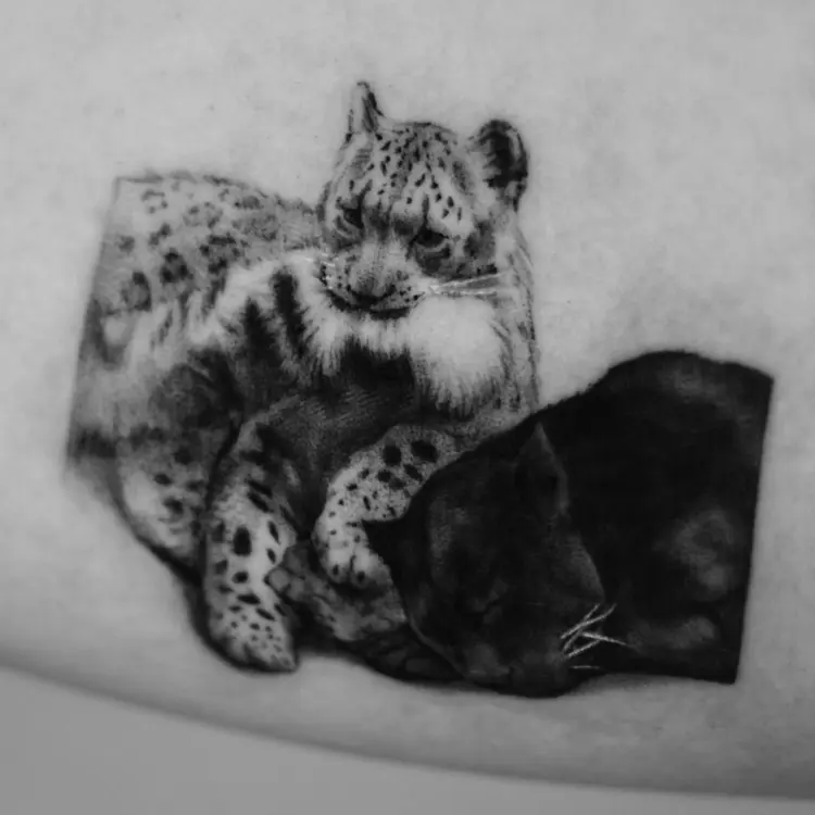 Animal, Tiger