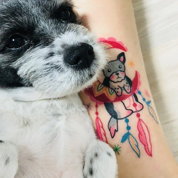 Animal, Mini