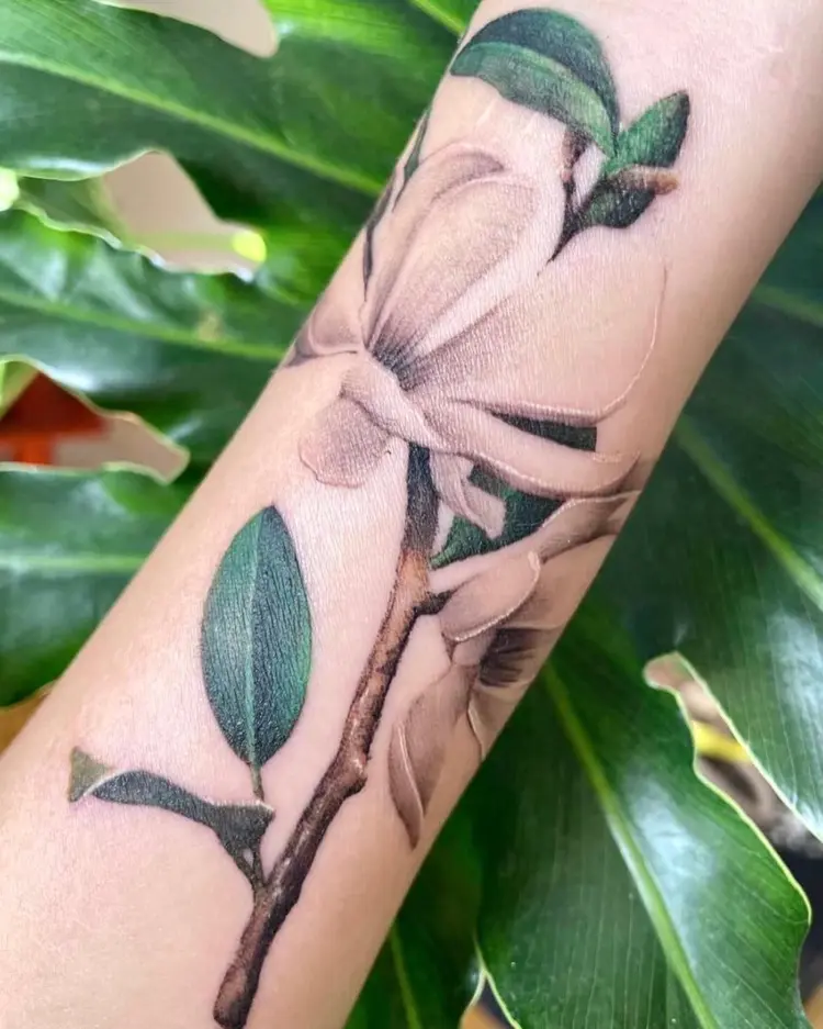 Flower, Nature