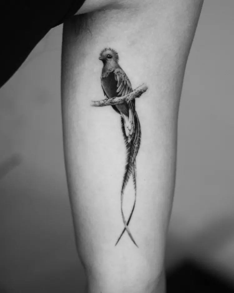 40.tatt
