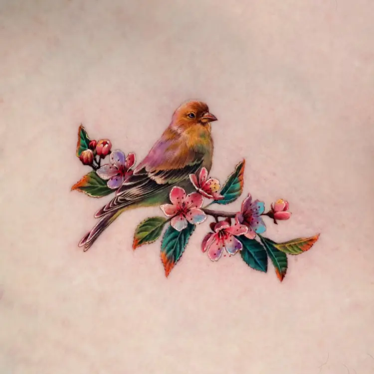 Animal, Flower, Nature