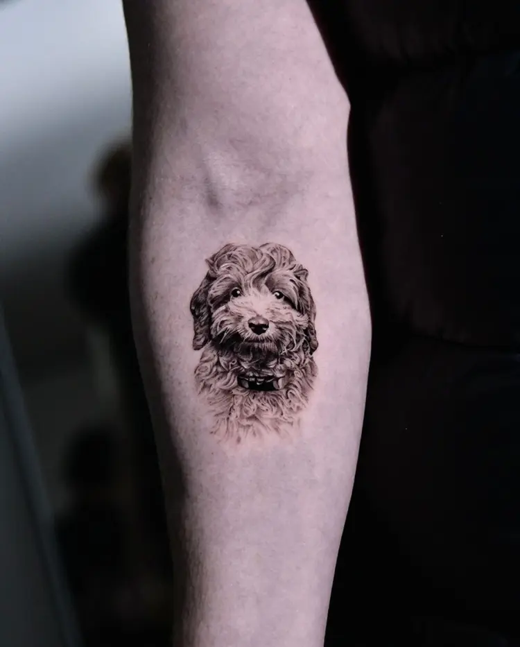 Animal