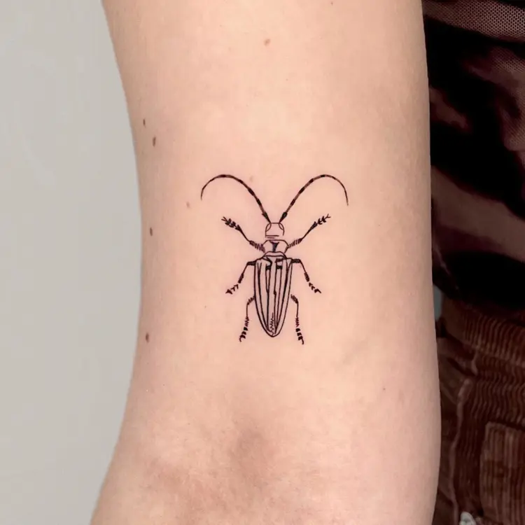Animal