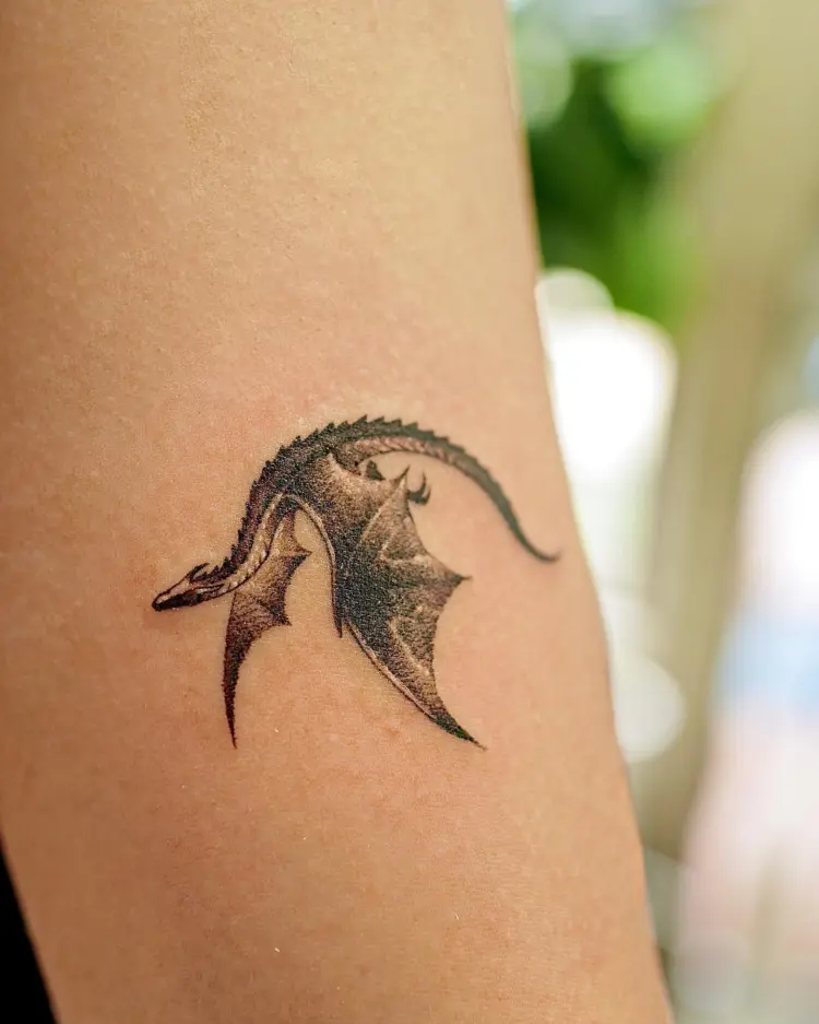 게, Dragon, 전갈, 도마뱀, Animal, 다람쥐, 고슴도치