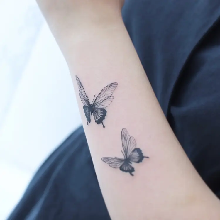 Nature, Animal