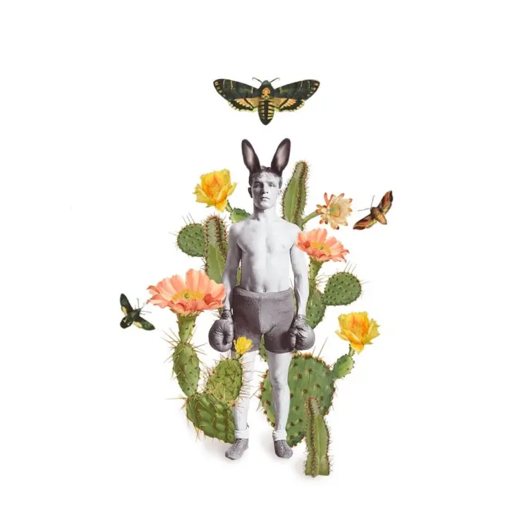 Animal, Nature, Flower