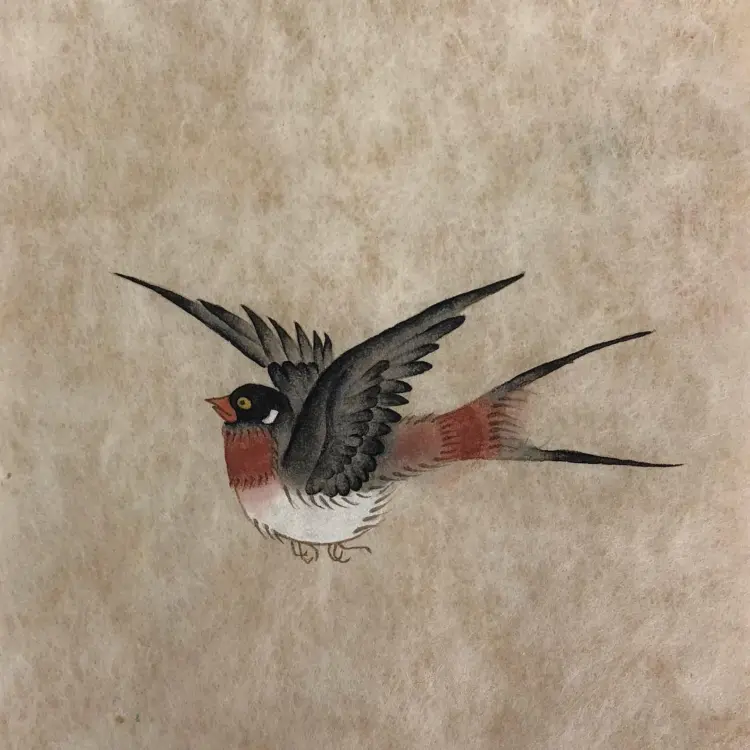 Nature, Animal