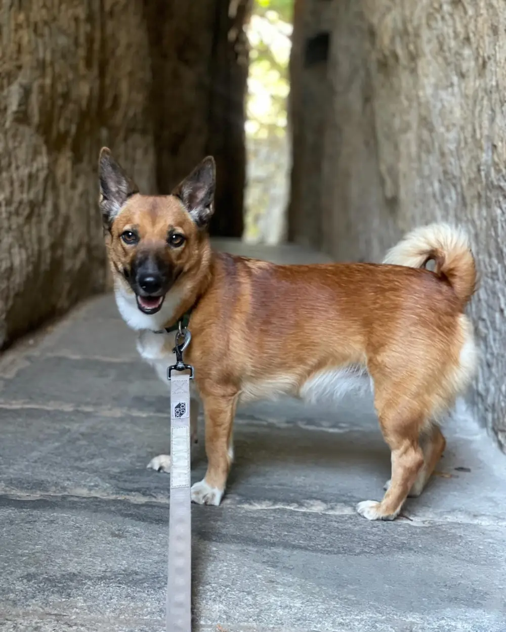 tattooist_toma