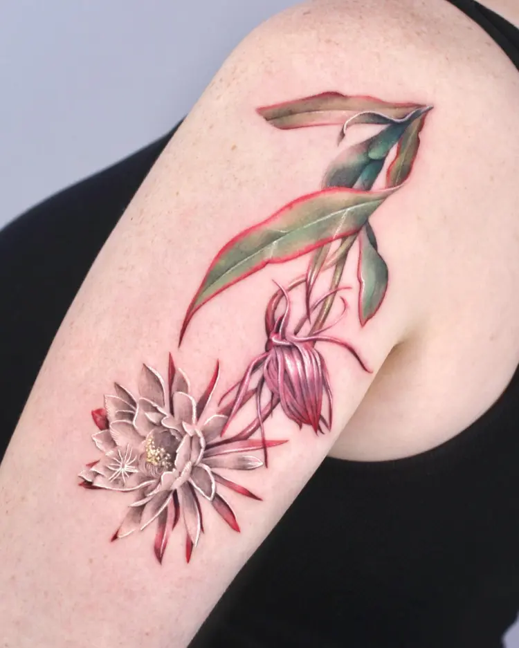 Flower, Nature