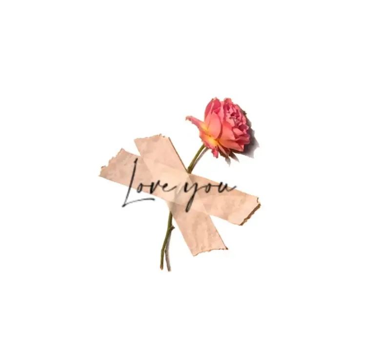 Flower, Lettering, Rose
