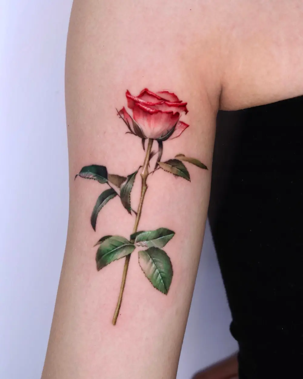 Flower, Rose