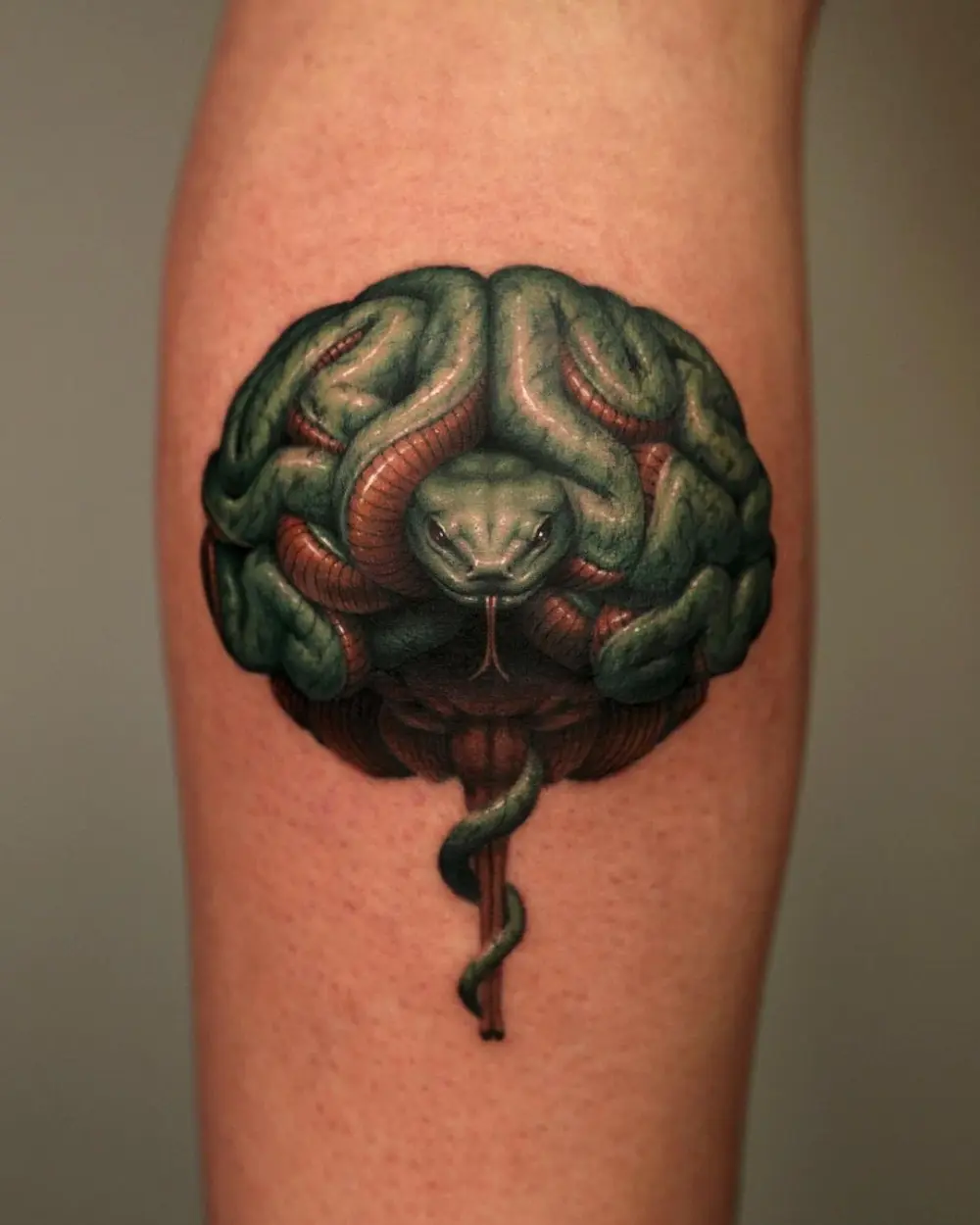 Snake