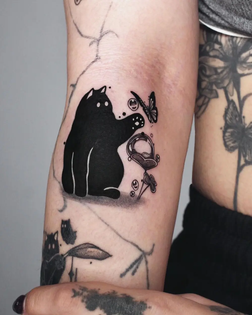 Animal, Nature