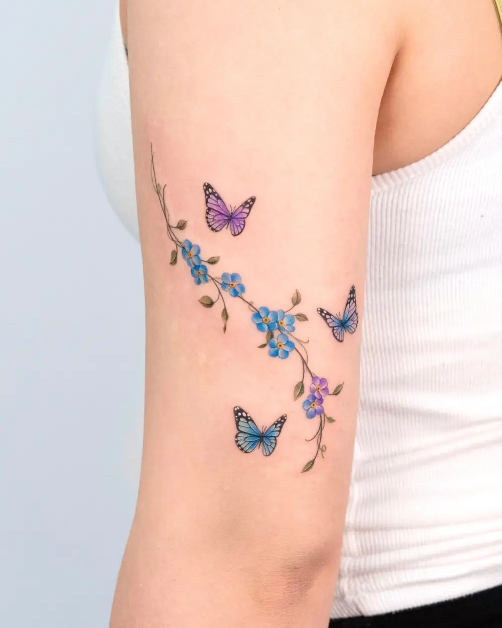 Animal, Nature, 나비