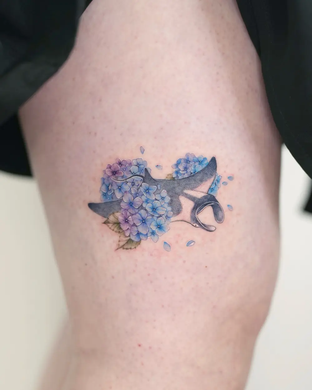 siren_ink