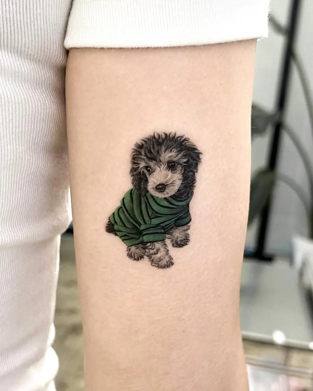 Animal, Mini