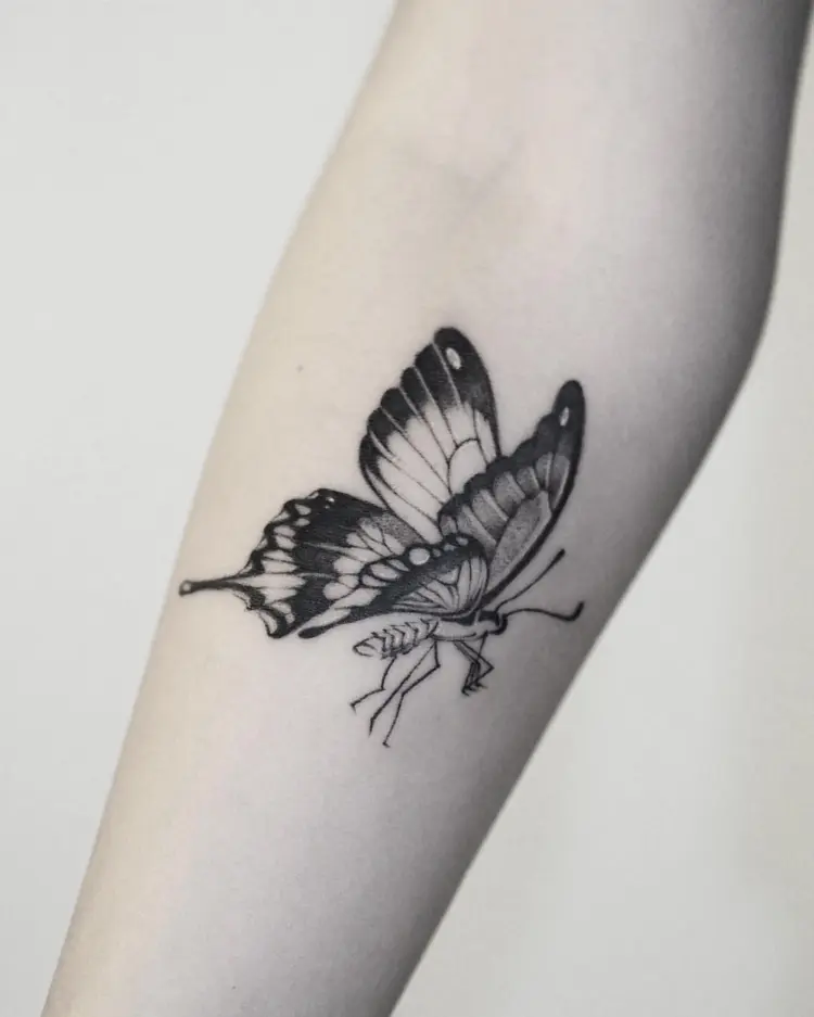 Animal, Nature