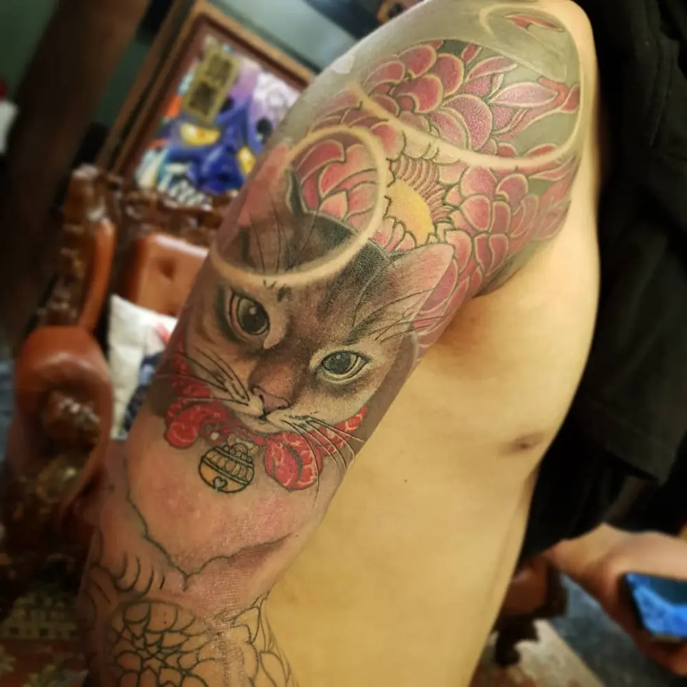 Animal