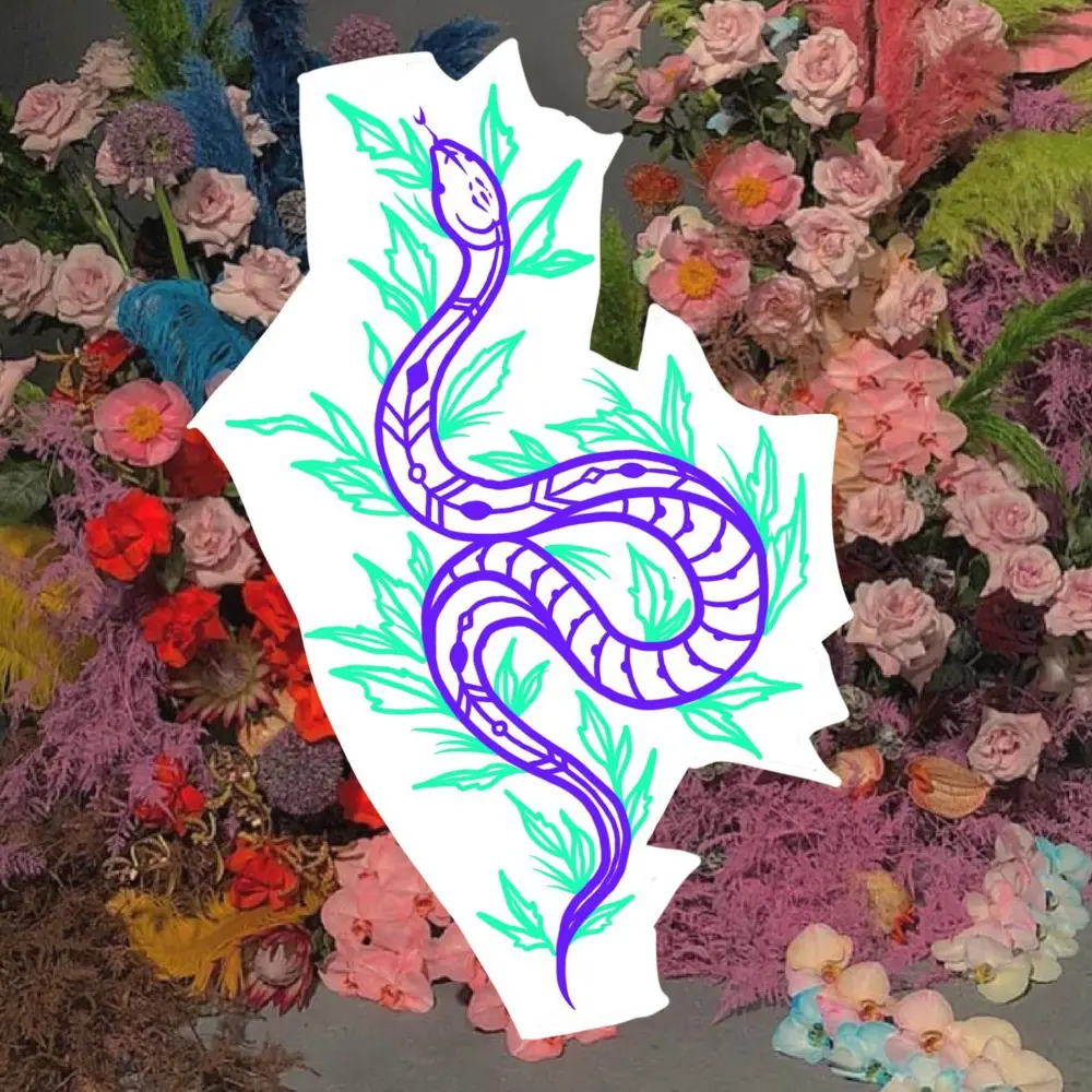 Dragon, Snake