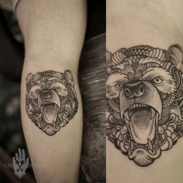 Tiger, Animal