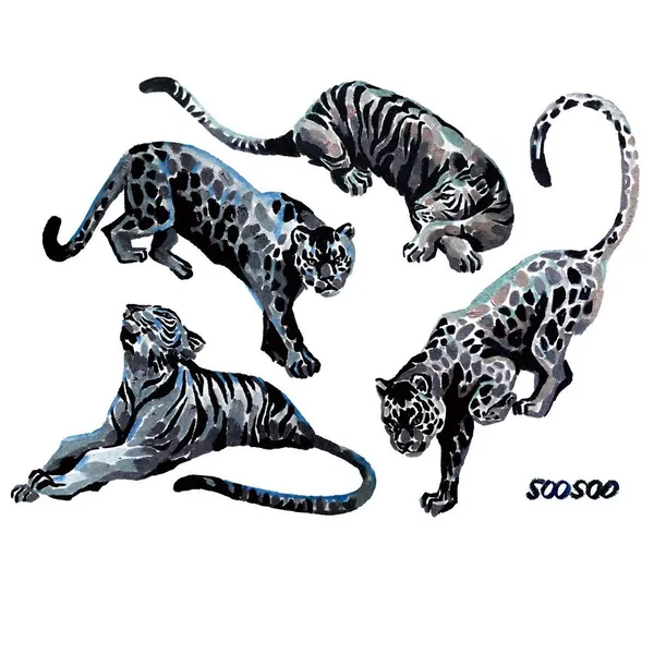 Tiger, Animal, 표범, 팬서, 치타