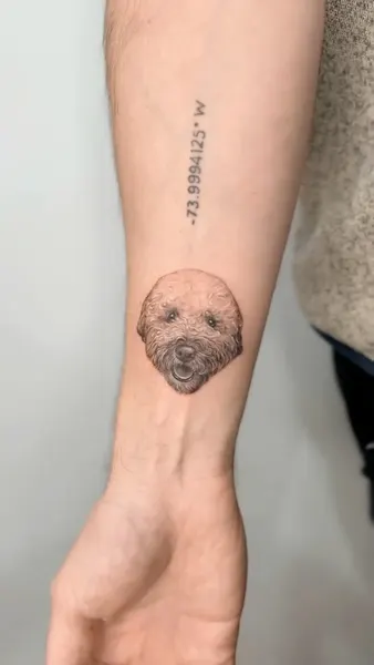Animal