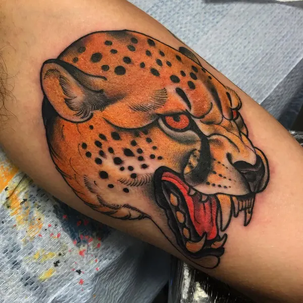 Animal, Tiger, 표범, 재규어