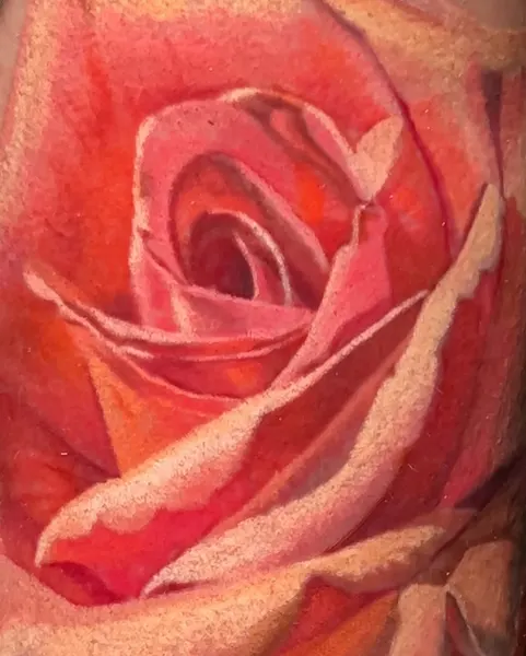 Flower, Rose