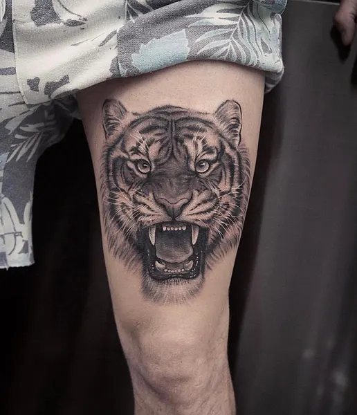Tiger
