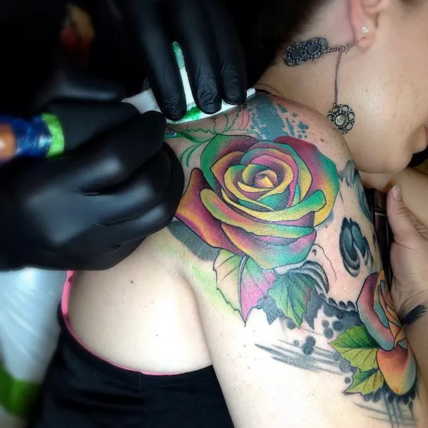 Flower, Rose, Nature