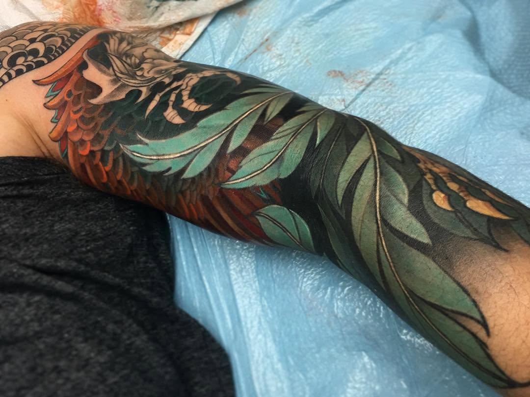 Dragon, Animal
