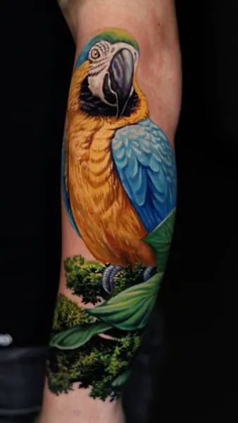 Animal, Nature