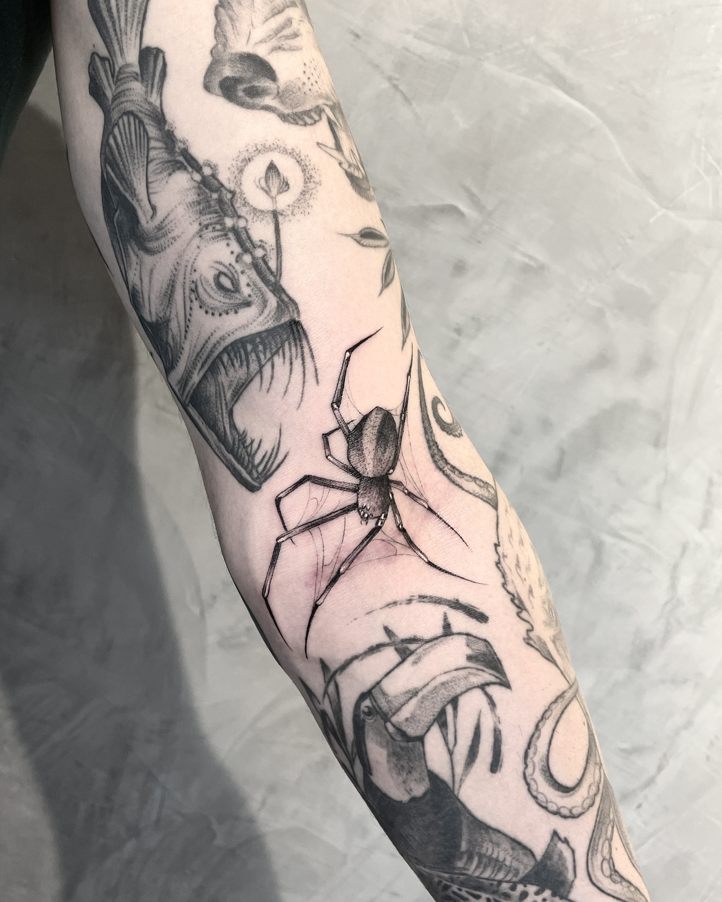 leo_marsiglia