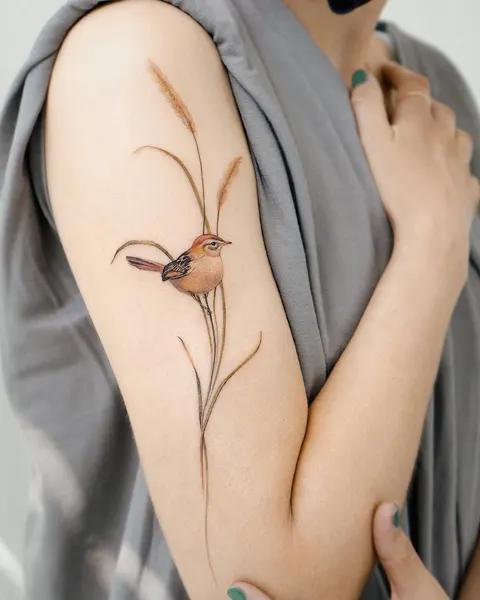 Flower, Rose, Animal