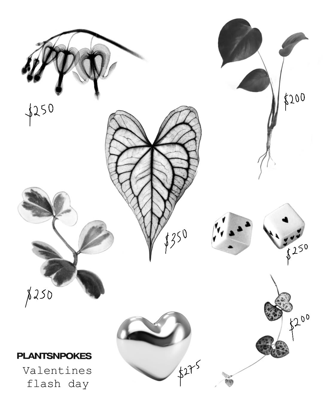 plantsnpokes