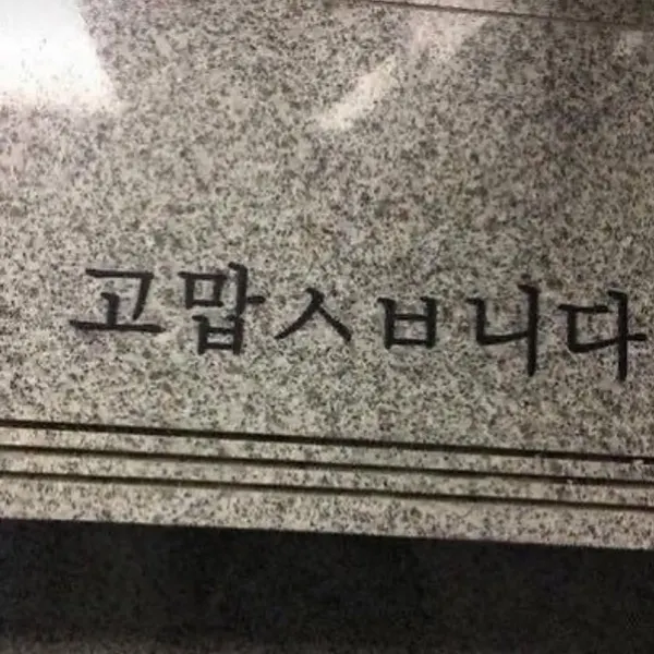 태양, 데이지