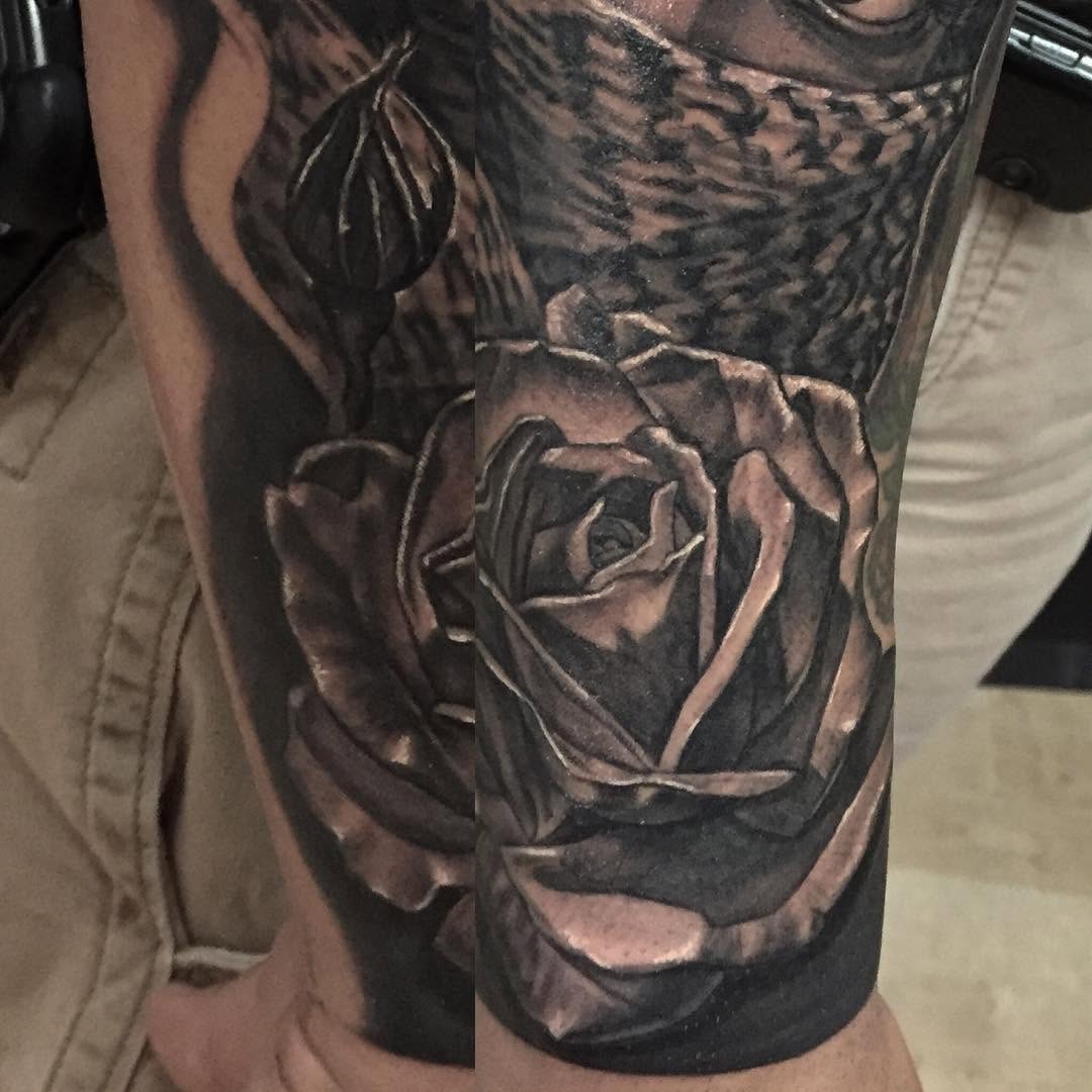 Flower, Rose