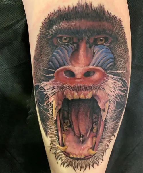 Tiger, Animal