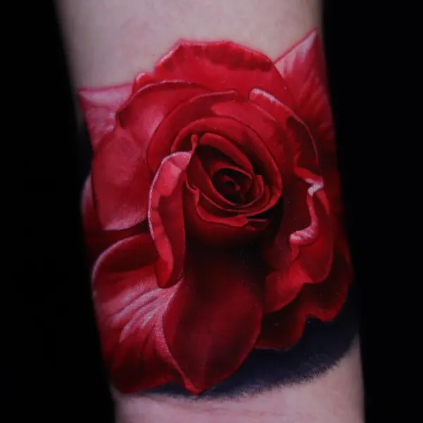 Flower, Rose