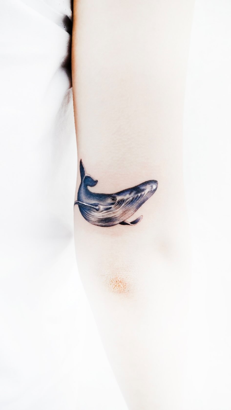 tattooist_toma