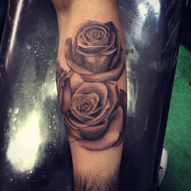 Flower, Rose