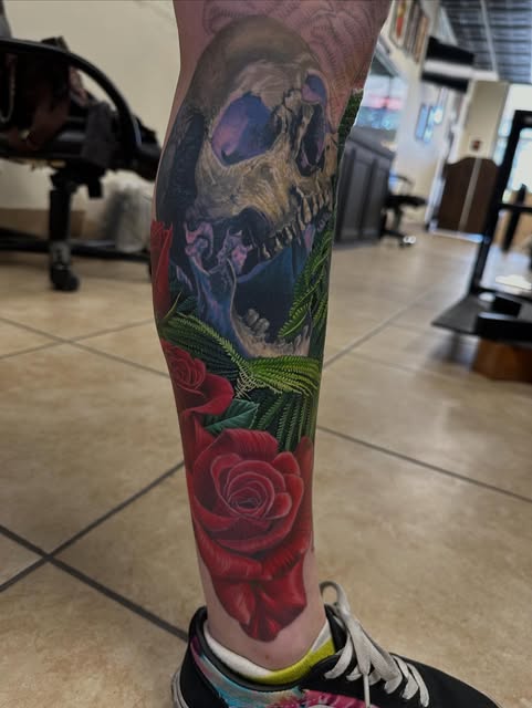 Animal, Dragon