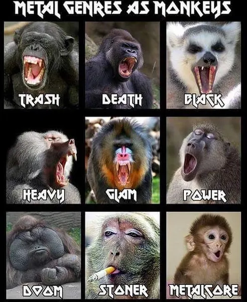 Animal