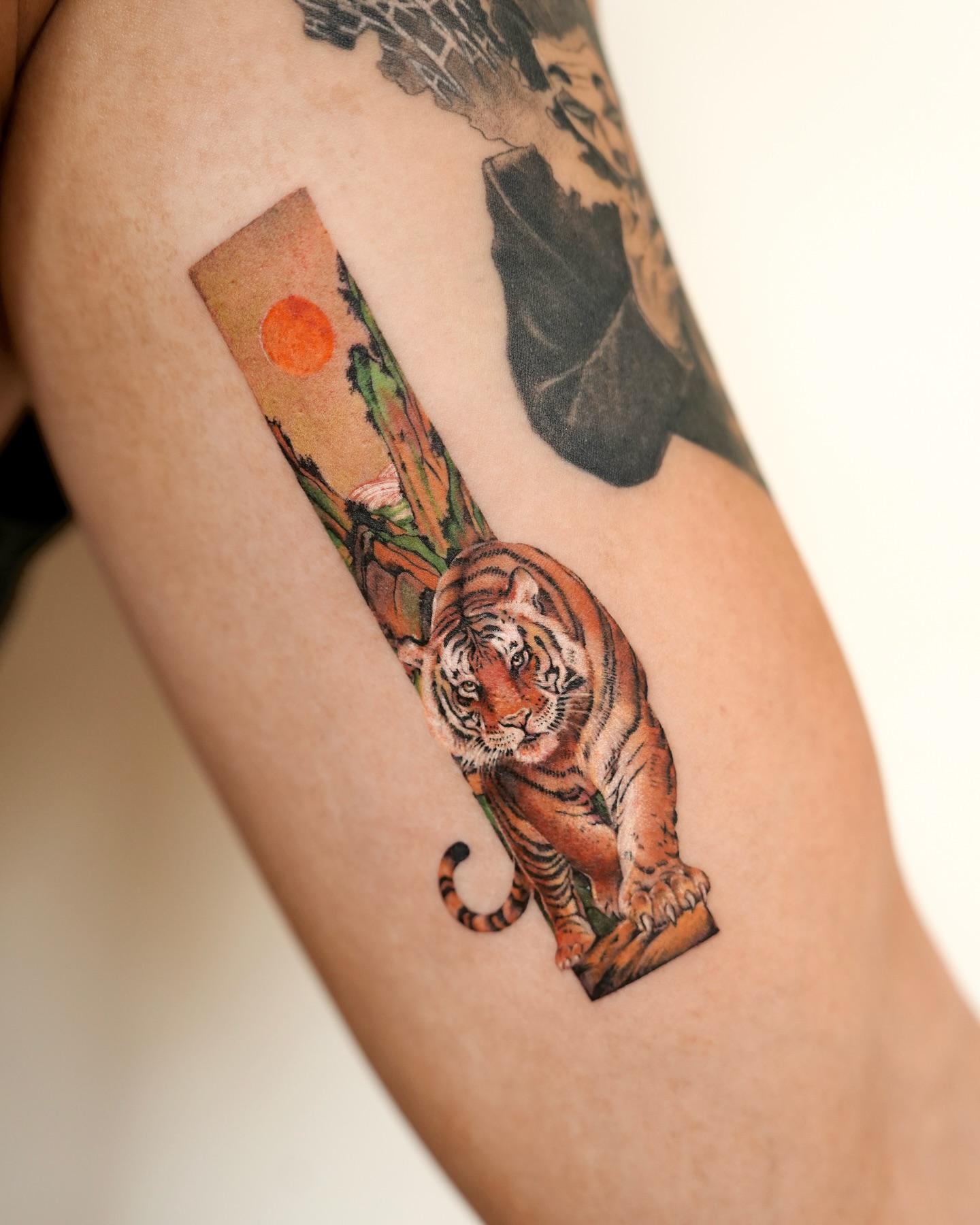 Tiger