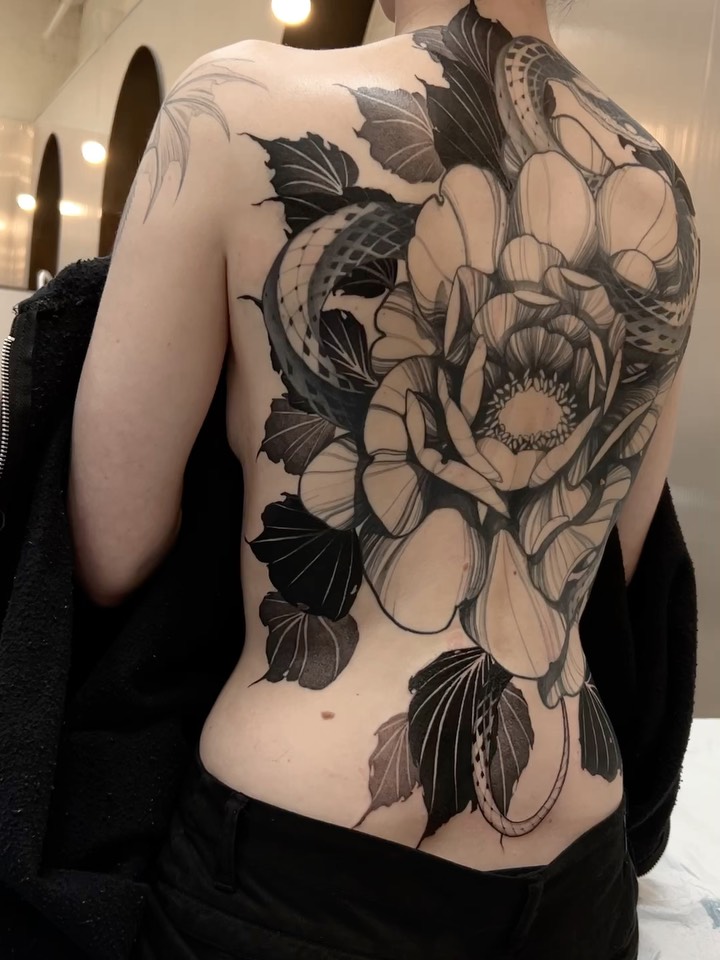 Flower, Rose, Nature