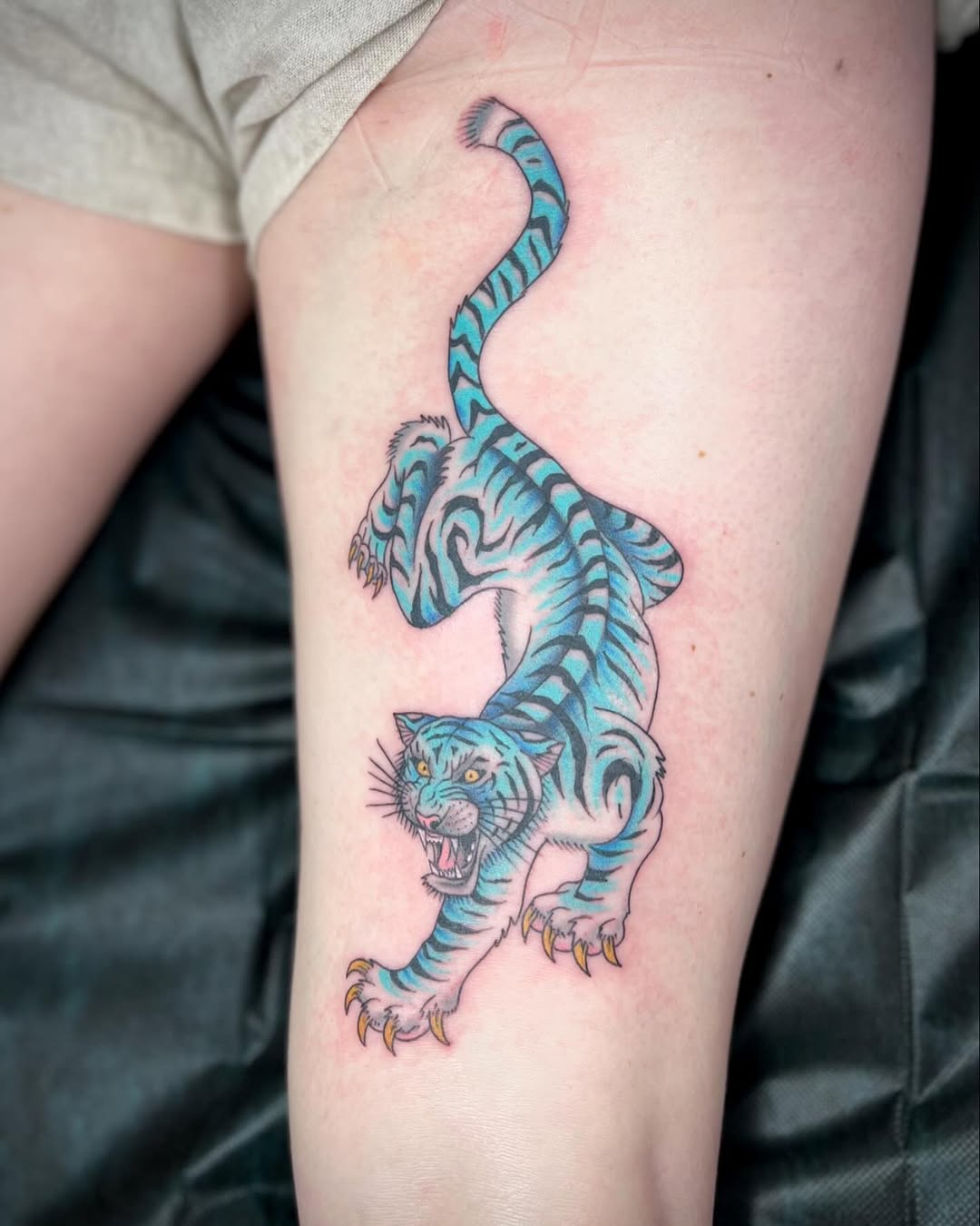 Tiger